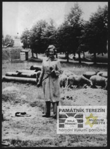 Doris with grazing sheep during her imprisonment in the Terezín Ghetto, 1943, Památník Terezín, FAPT, A 4423.