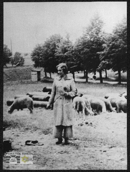 Doris tending her sheep in the Terezín Ghetto, 1943, Památník Terezín, FAPT, A 4424.